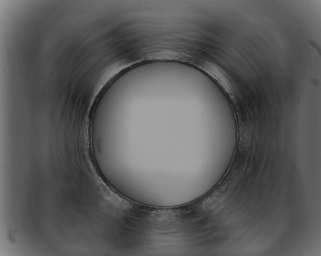 X0000093111000200709261246