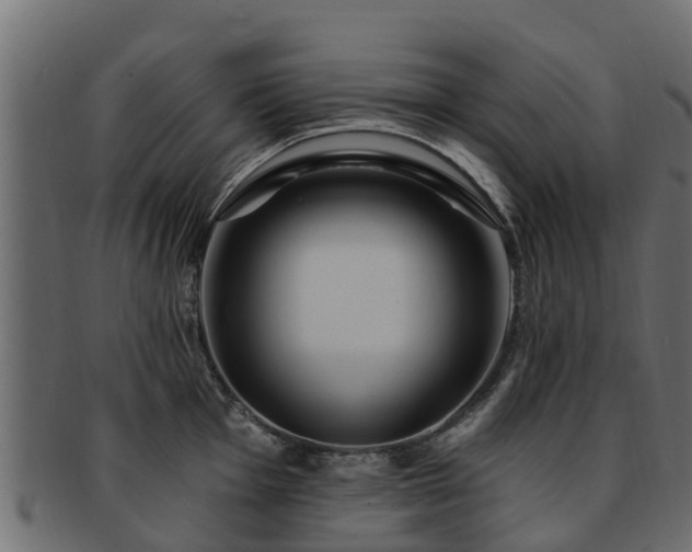 X0000093111001200709261246