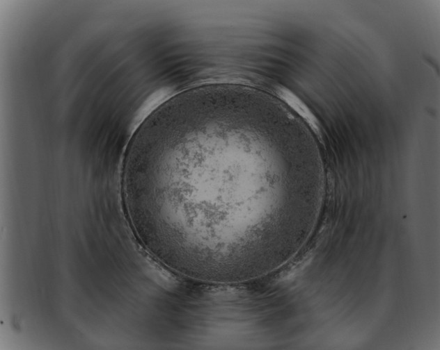 X0000093111002200709261246