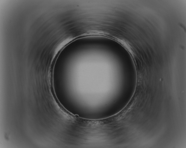 X0000093111003200709261246
