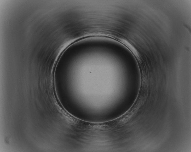 X0000093111004200709261246