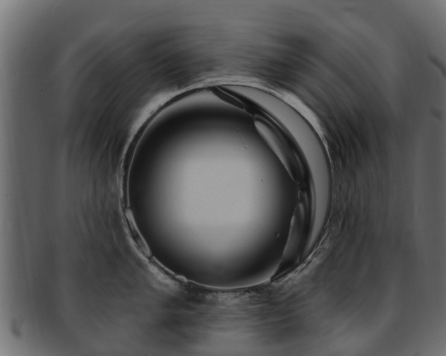 X0000093111005200709261246
