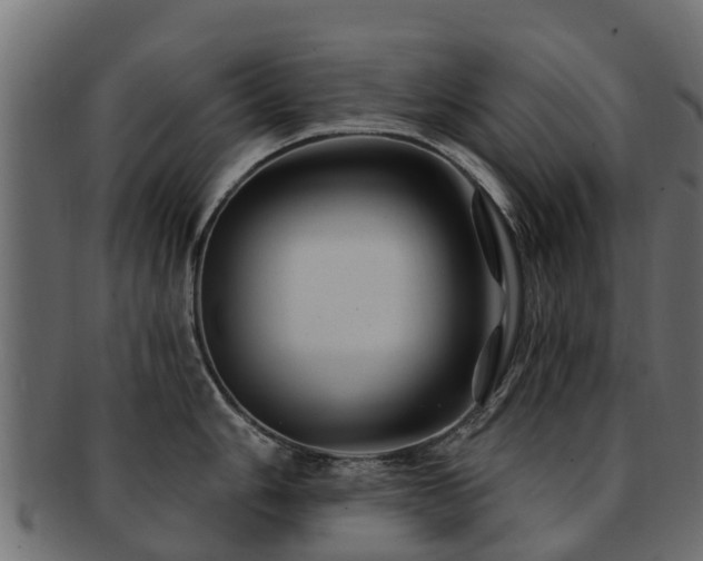 X0000093111006200709261246