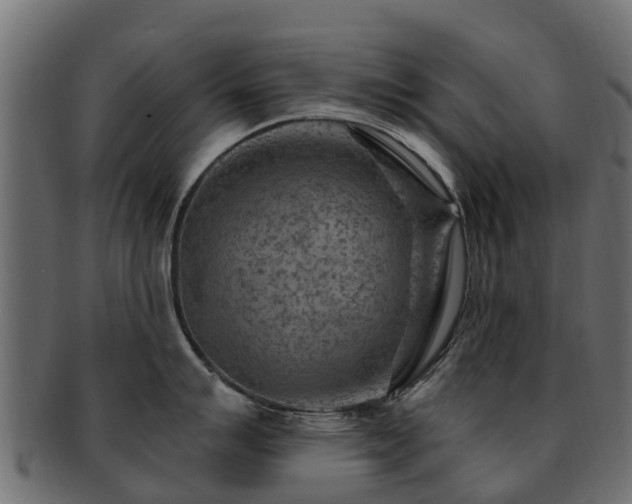 X0000093111007200709261246