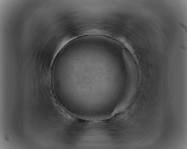 X0000093111008200709261246