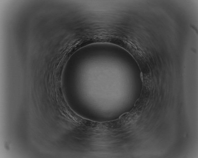 X0000093111009200709261246