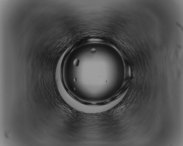 X0000093111010200709261246