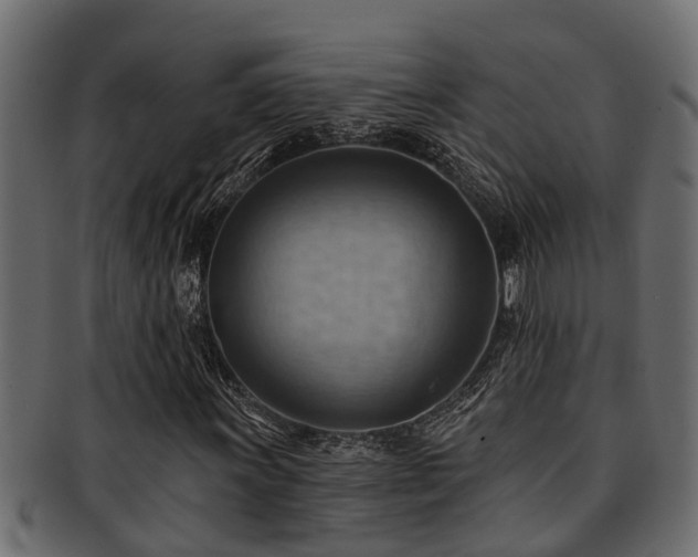 X0000093111011200709261246
