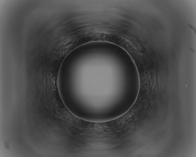 X0000093111013200709261246
