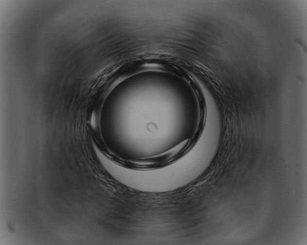 X0000093111014200709261246