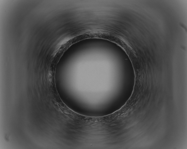 X0000093111016200709261246