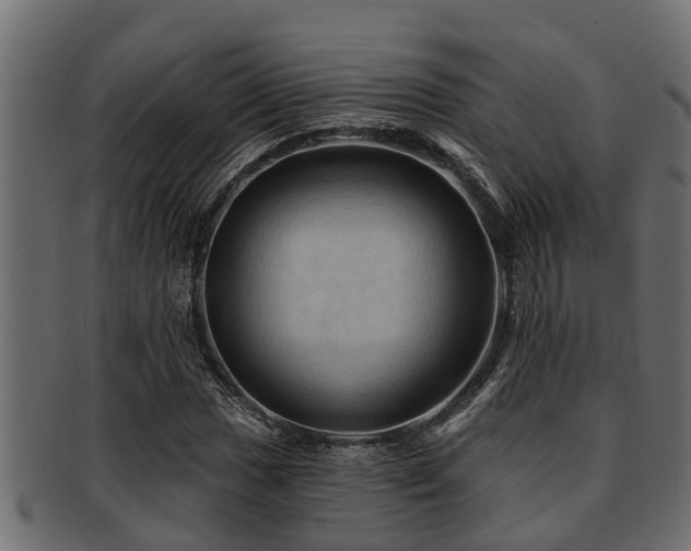 X0000093111017200709261246