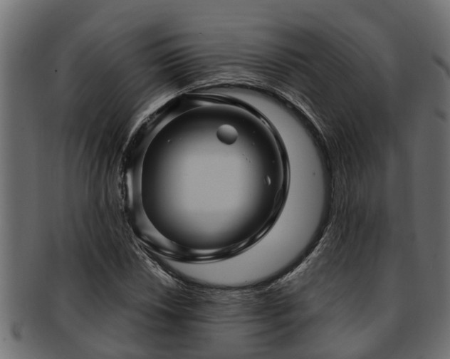 X0000093111018200709261246