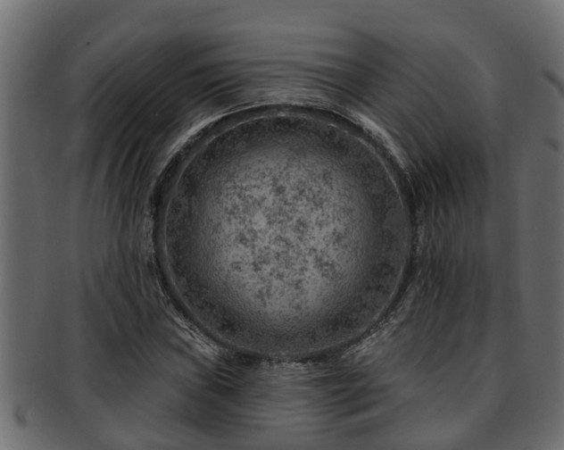 X0000093111019200709261246