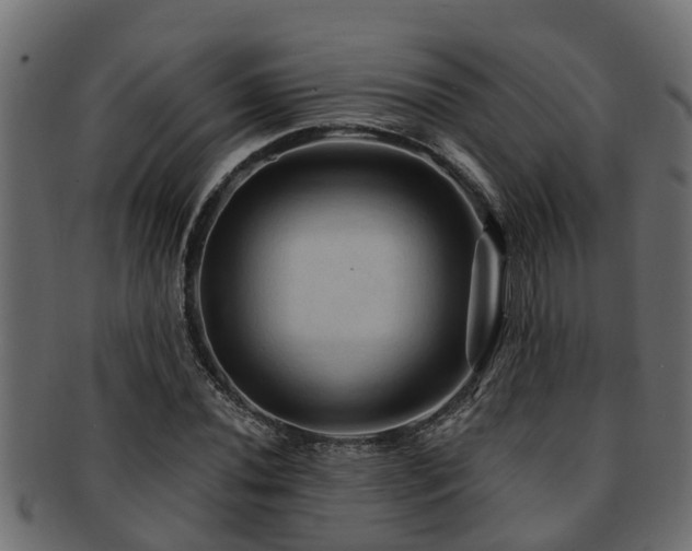 X0000093111020200709261246