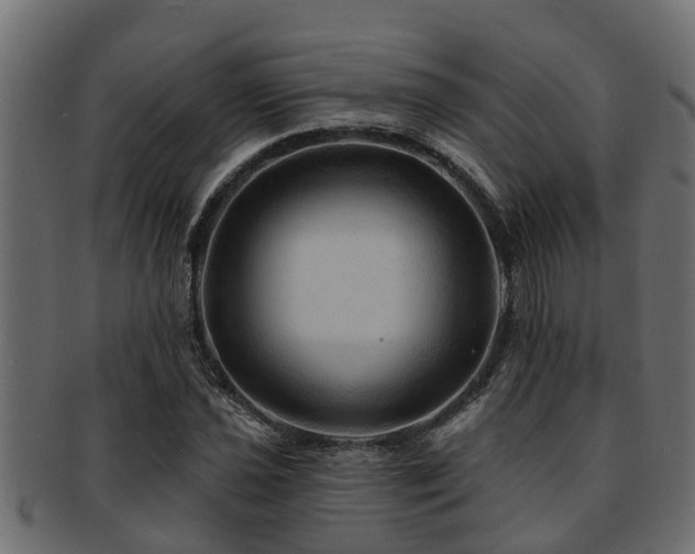 X0000093111021200709261246