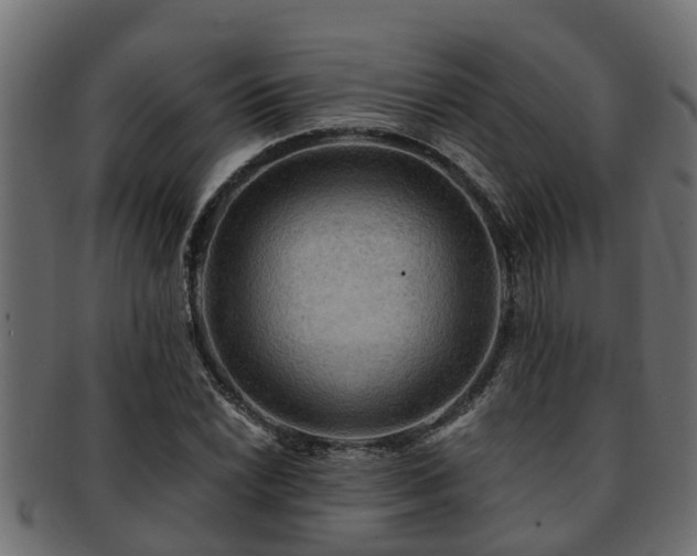 X0000093111022200709261246