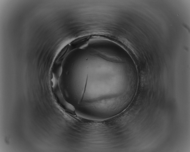 X0000093111024200709261246