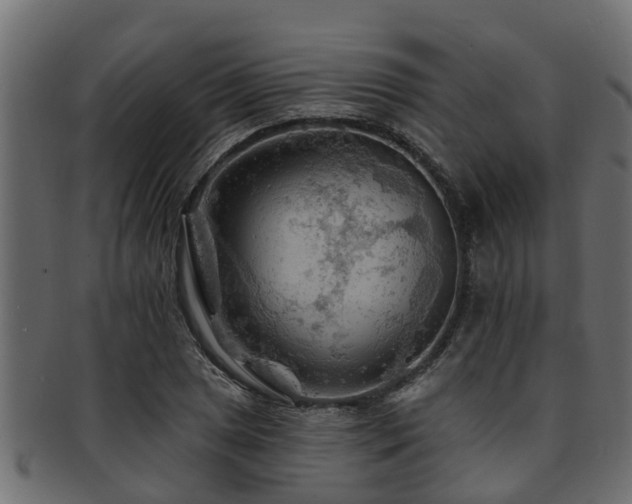 X0000093111025200709261246