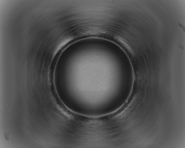 X0000093111026200709261246