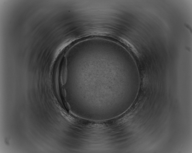 X0000093111027200709261246