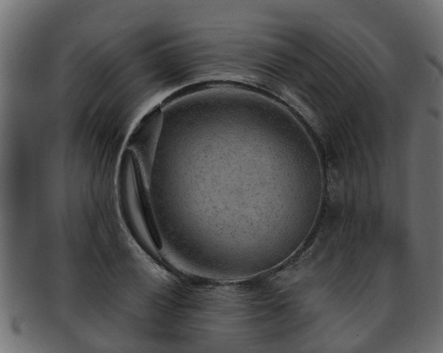 X0000093111028200709261246