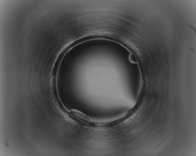 X0000093111029200709261246