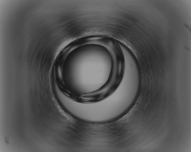 X0000093111030200709261246