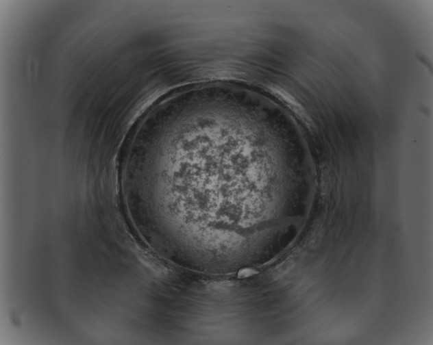 X0000093111031200709261246