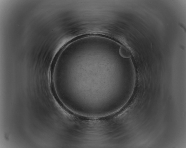 X0000093111032200709261246