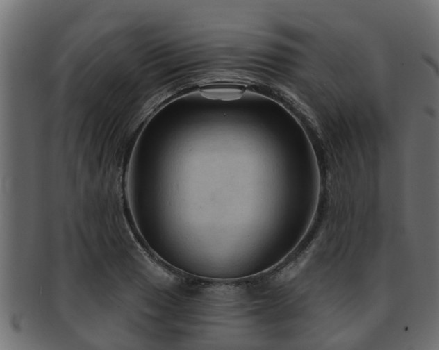 X0000093111033200709261246
