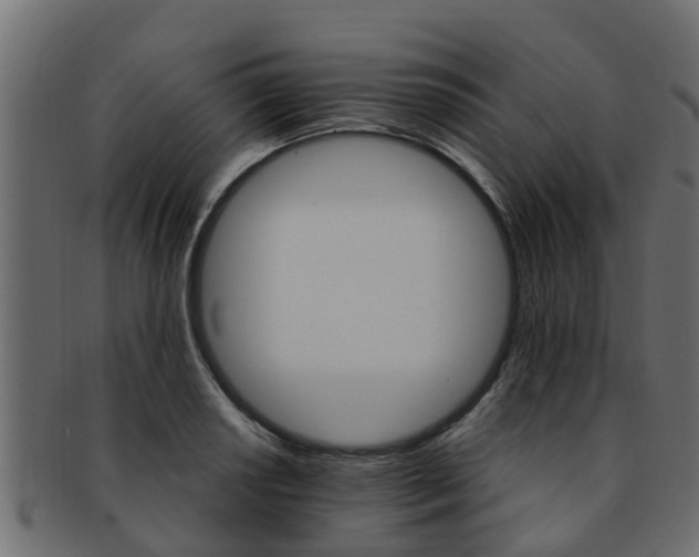 X0000093111034200709261246