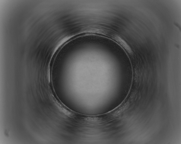 X0000093111036200709261246