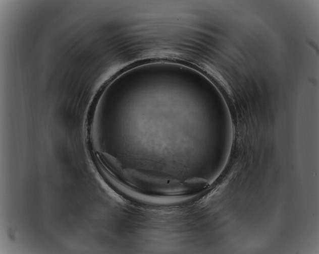 X0000093111037200709261246