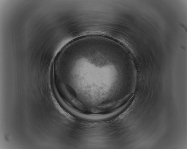 X0000093111038200709261246