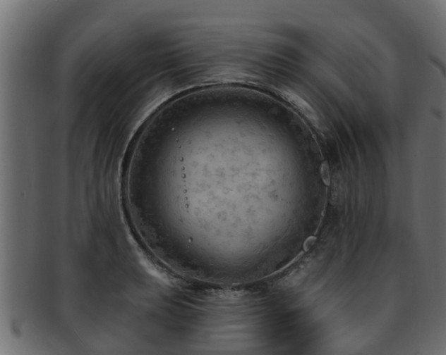 X0000093111039200709261246