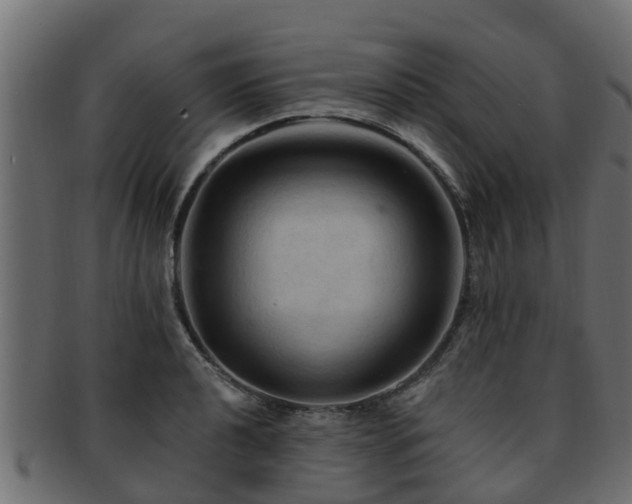 X0000093111040200709261246