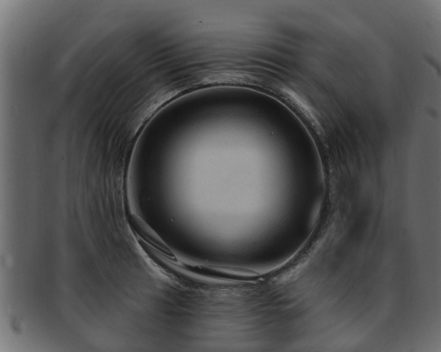 X0000093111041200709261246