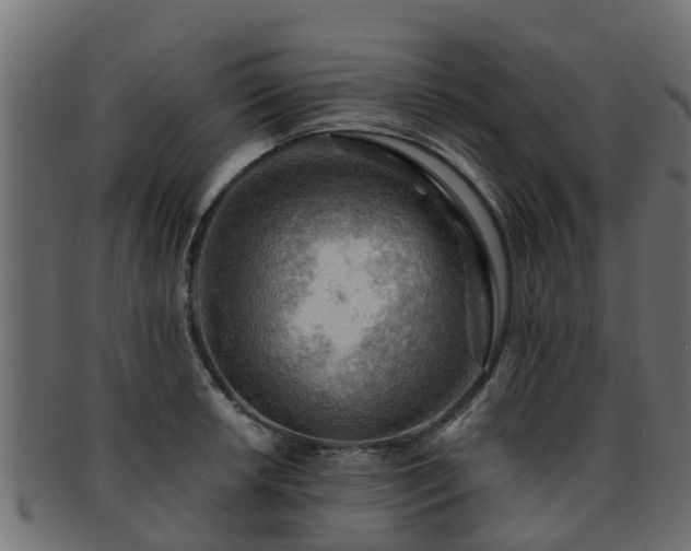 X0000093111042200709261246