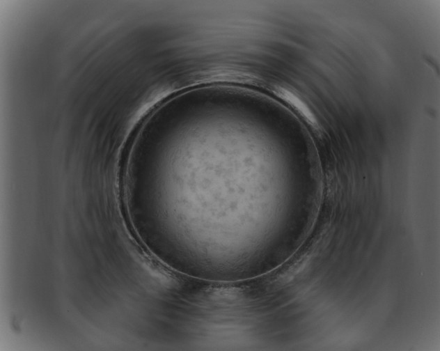 X0000093111043200709261246