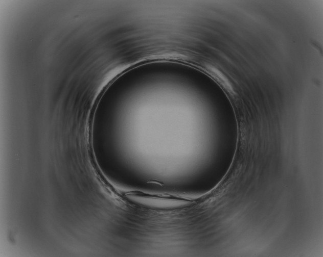 X0000093111044200709261246