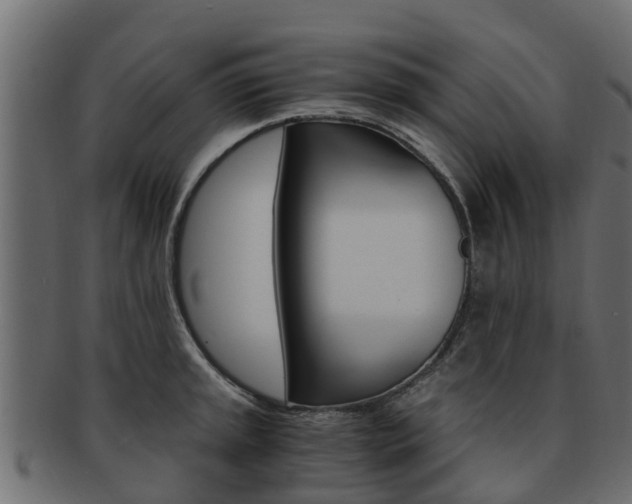 X0000093111045200709261246