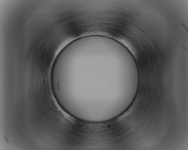 X0000093111046200709261246