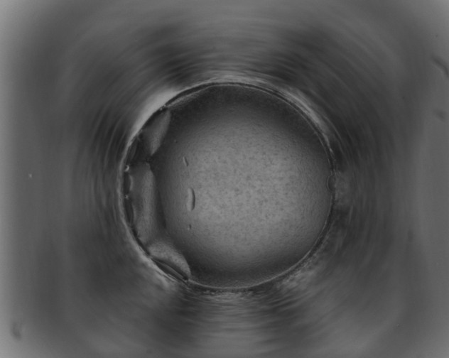 X0000093111048200709261246