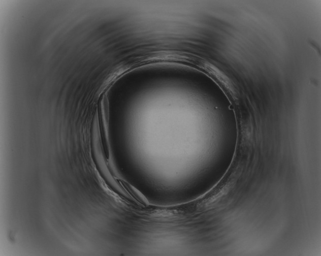 X0000093111049200709261246