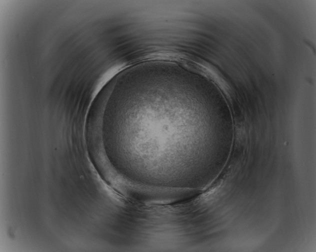 X0000093111050200709261246