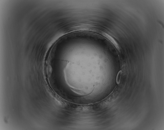 X0000093111051200709261246