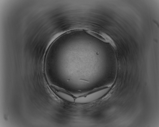 X0000093111052200709261246