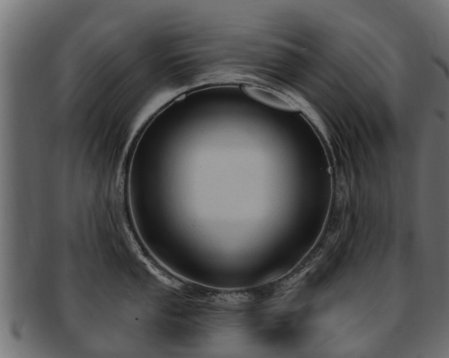 X0000093111053200709261246