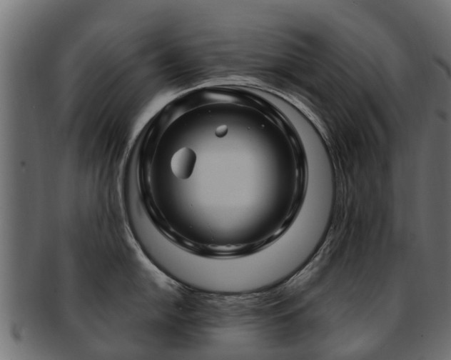 X0000093111054200709261246